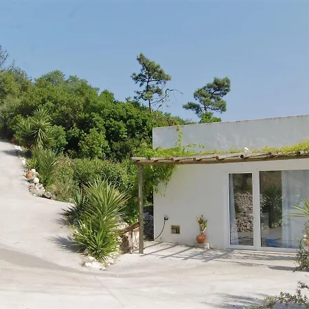 A Perfect With Pool Terrace And Garden