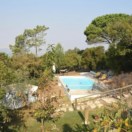 A Perfect With Pool Terrace And Garden Alcobaca