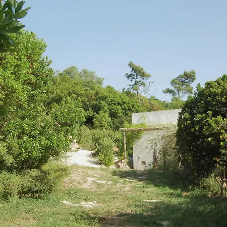 A Perfect With Pool Terrace And Garden Villa