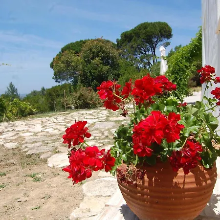 A Perfect With Pool Terrace And Garden *