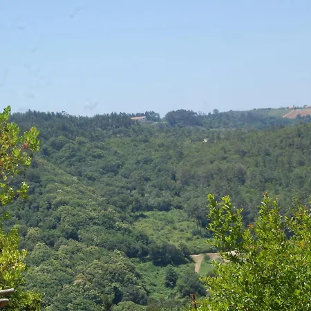 A Perfect With Pool Terrace And Garden Alcobaca
