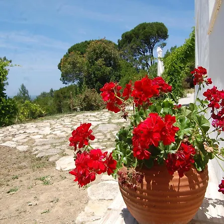 Βίλα Family With Pool And Barbecue *