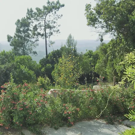 Family With Pool And Barbecue Alcobaça