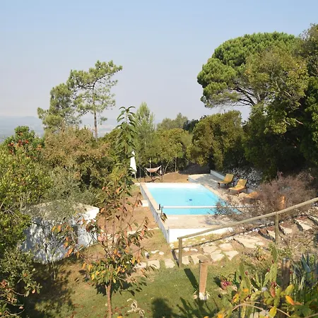 Family With Pool And Barbecue *