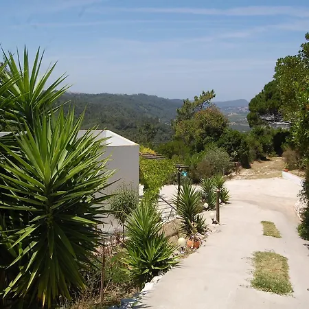 Family With Pool And Barbecue *