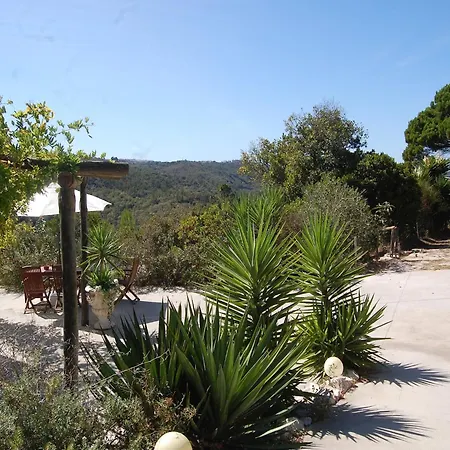 Family With Pool And Barbecue * Alcobaça