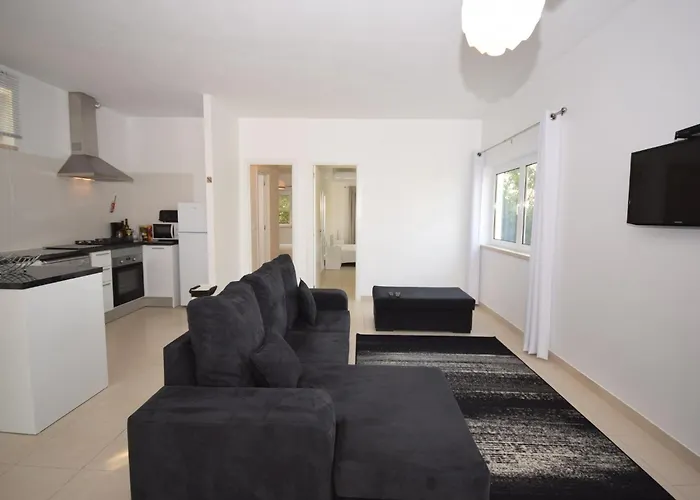 Family With Pool And Barbecue * アルコバサ