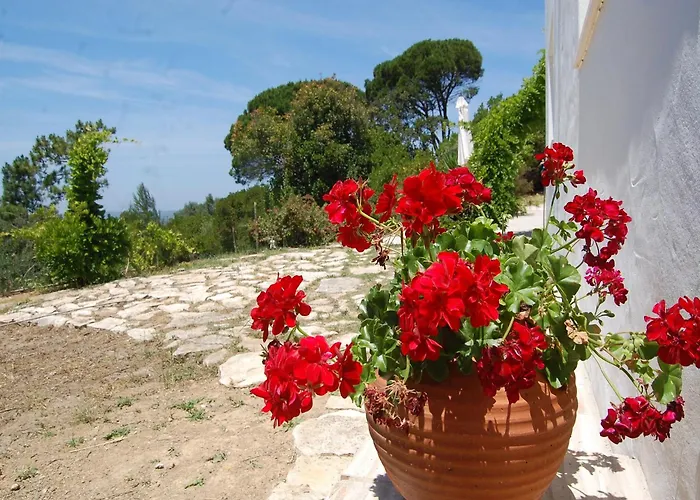 ヴィラ Family With Pool And Barbecue *