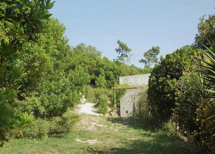 Family With Pool And Barbecue * アルコバサ