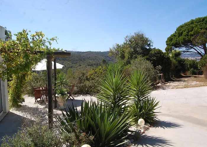 Family With Pool And Barbecue * アルコバサ